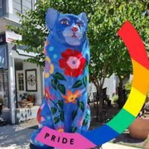 sueparryharmony avatar