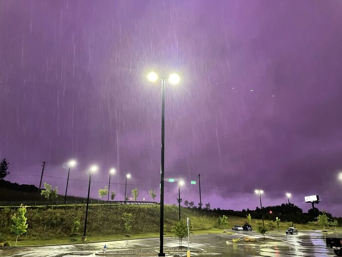 Purple Rain Tonight