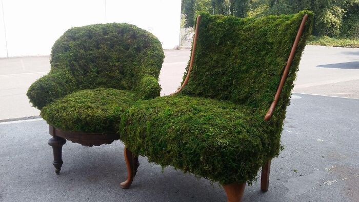 Moss Chairs For Some Reason