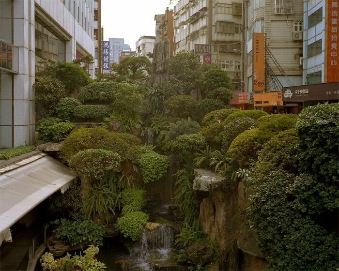 Una selva urbana literal, Taipei, Taiwán