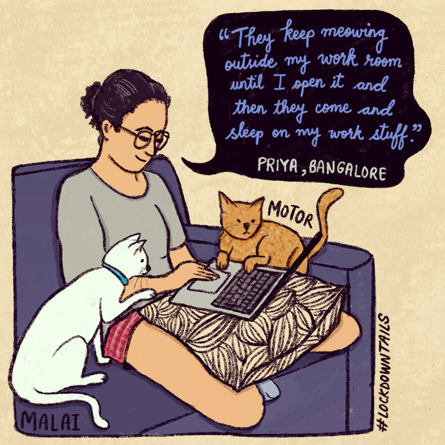 I Made A Series Of Illustrations Of Pet Parents In Lockdown