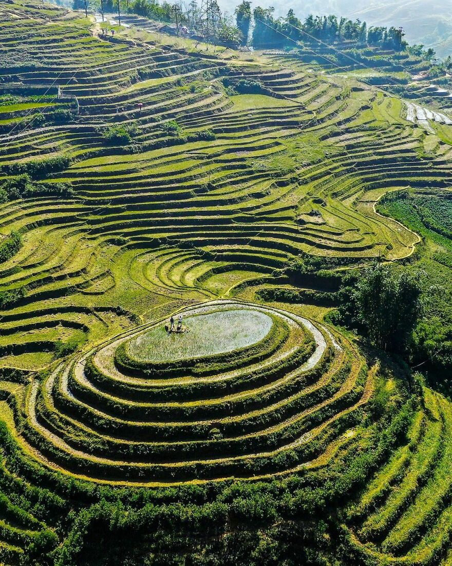 The Giant Rice Terraces From Sa Pa In Vietnam