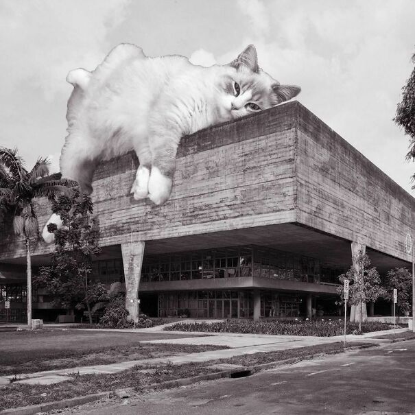 Faculty Of Architecture & Urbanism - University Of Sao Paulo; Joao Batista Vilanova Artigas, 1961, Sao Paulo, Brazil