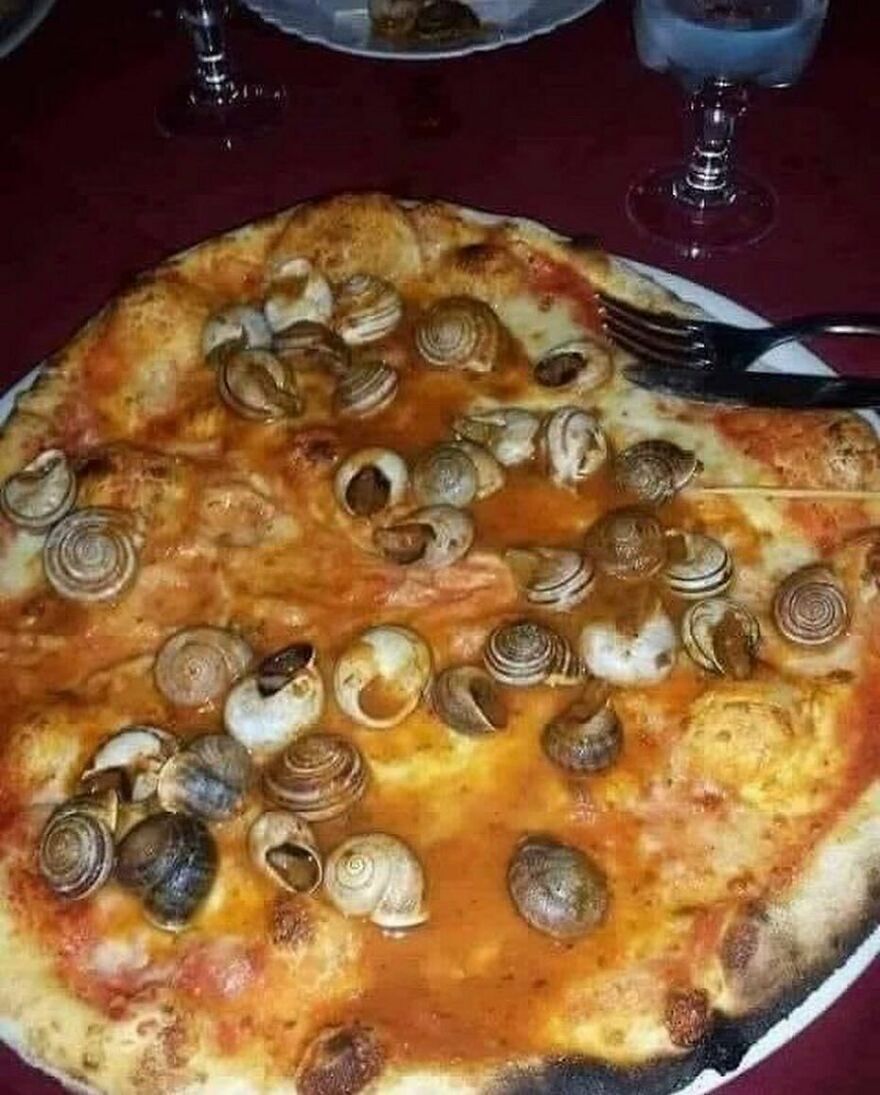🐌🐌🐌