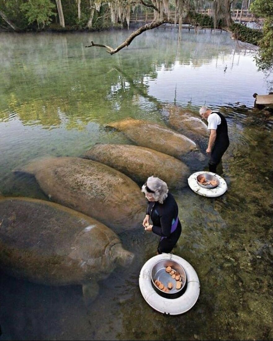 Feeding time