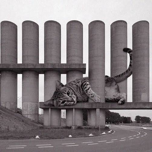 Rozenburg Wind Wall; Maarten Struijs, 1985, Rozenburg, Netherlands