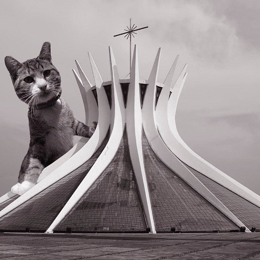 Cathedral Of Brasilia; Oscar Niemeyer, 1970, Brasilia, Brazil