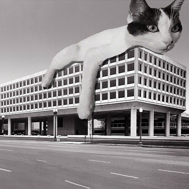 James V. Forrestal Building; Curtis & Davis, Fordyce And Hamby Associates; Frank Grad & Sons, 1965 - 1969, Washington, D.C.