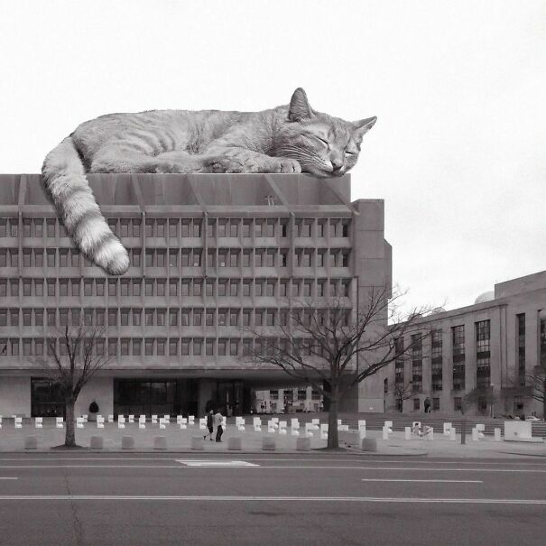 Hubert H. Humphrey Building; Marcel Breuer, 1977, Washington, D.C.