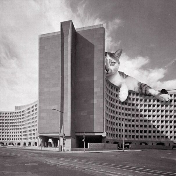 Robert C. Weaver Federal Building; Marcel Breuer, 1965, Washington, D.C.