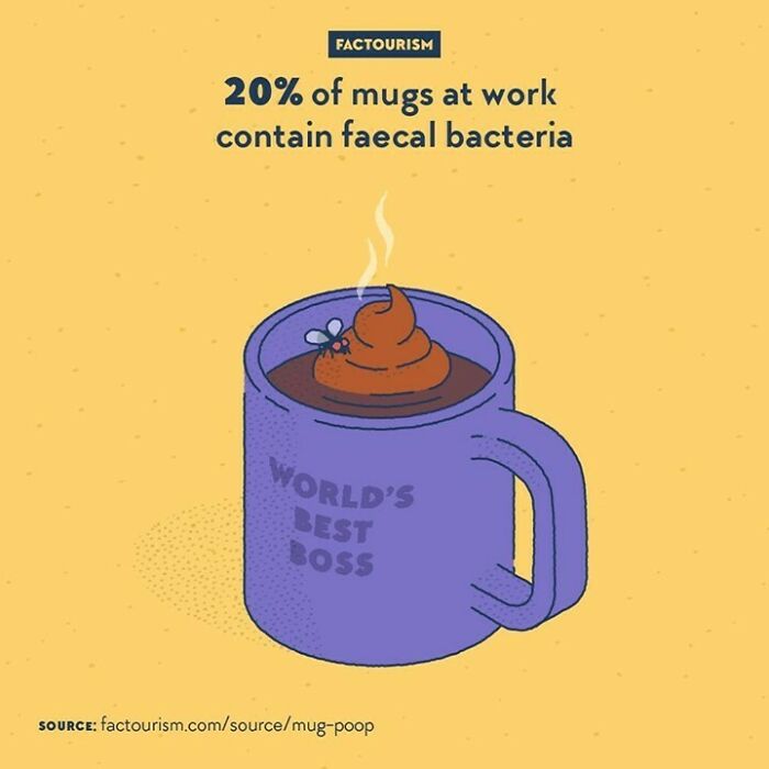 20% Of Mugs At Work Contain Faecal Bacteria⁠
⁠
researchers From The University Of Arizona Have Estimated That 90% Of “Clean” Cups In An Office Actually Carry Germs. 20% Are Identified As Bacteria Usually Present In Faeces, Such As Coliform And E. Coli, Revealing How Unhygienic Office Settings And Behaviours Can Be.