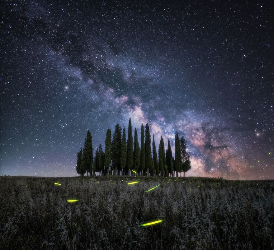 Lucciole Sotto Le Stelle (Commended In Nature And Landscape)