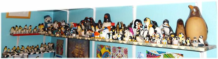 Tengo más de 1000 objetos temáticos de pingüinos. Empecé a coleccionarlos con menos de 2 años.