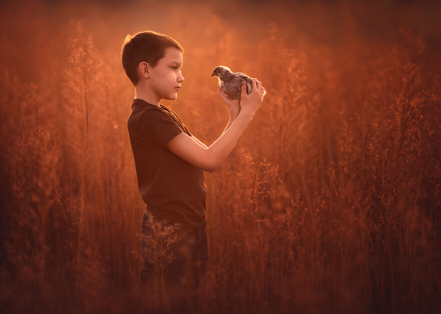 I Love Photographing The Gentle Nature Of My Children With Animals