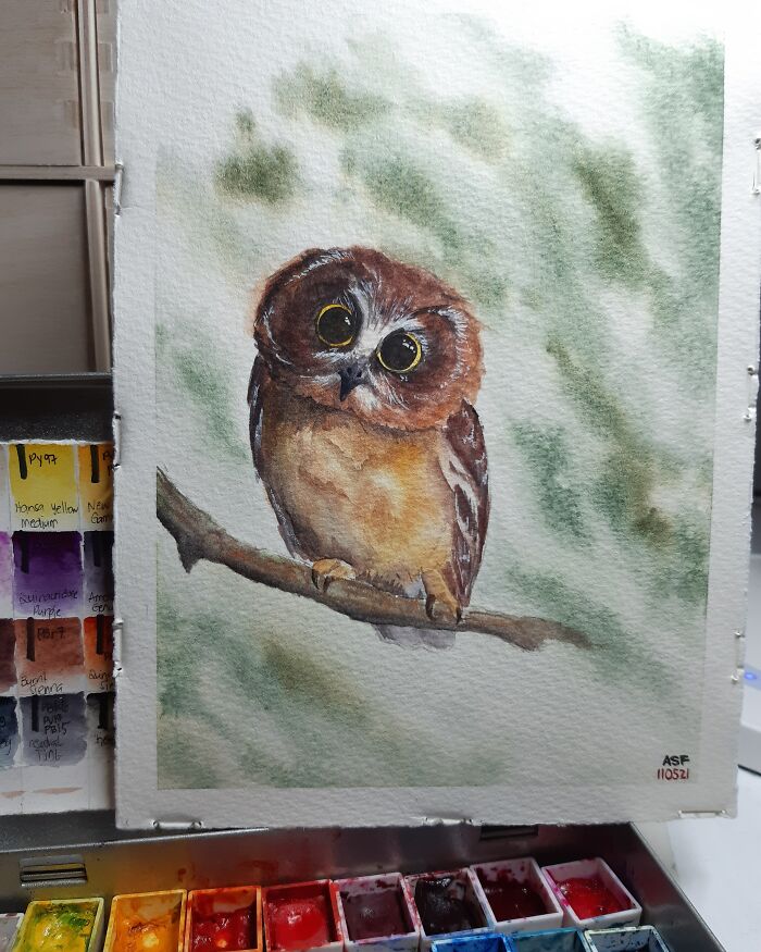 Owl In Watercolor