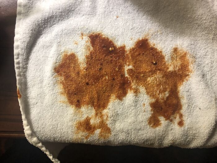 I Had Placed A Washcloth Over A Bowl Of Chili In The Microwave. To Me, The Resulting Stain Looks Like A Baby Rooster Fighting A Baby Duck Rorschach Ink Blot