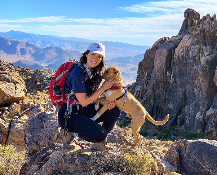 Meet Camper, The Stray Dog Who Chose His Owner And Are Now Nomadic Adventurers