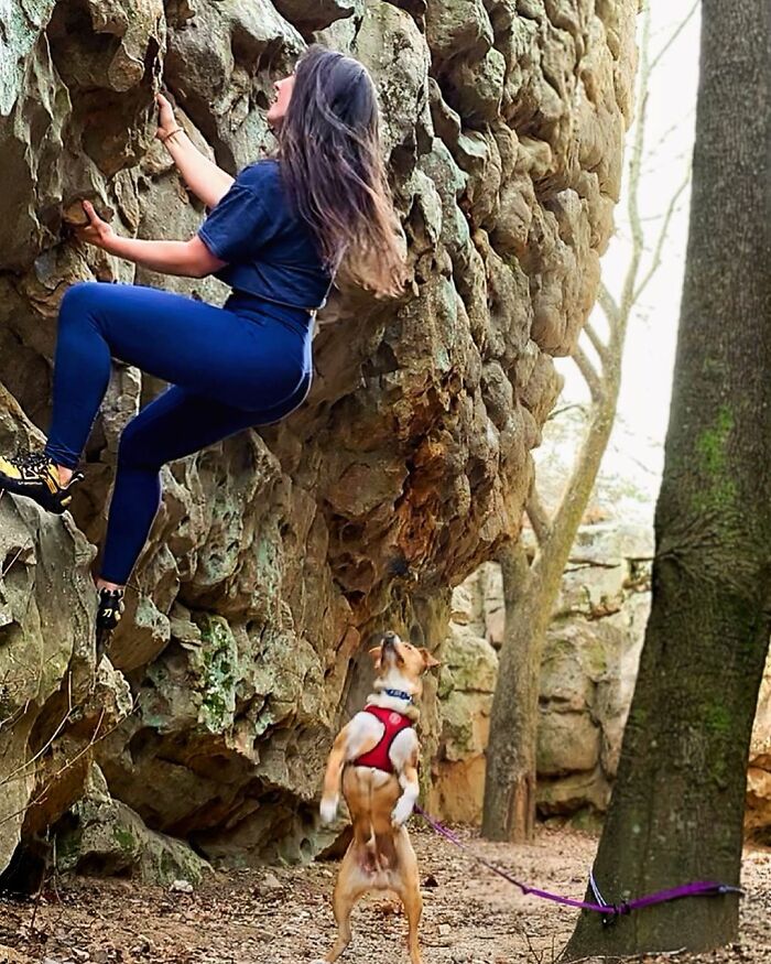 This Stray Dog Followed A Lady On A Hiking Trip And Got Adopted By Her (21 Pics)