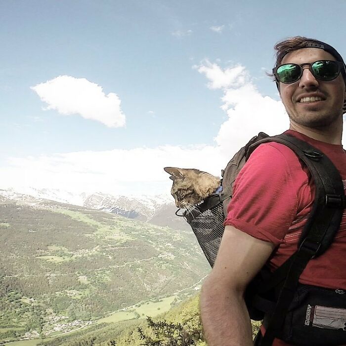Meet Cathode, The Cat That Has Incredible Adventures With Its Owner