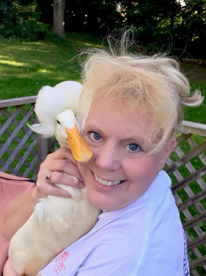 Meet Gertrude, The Duck With More Stylish Hair Than Yours