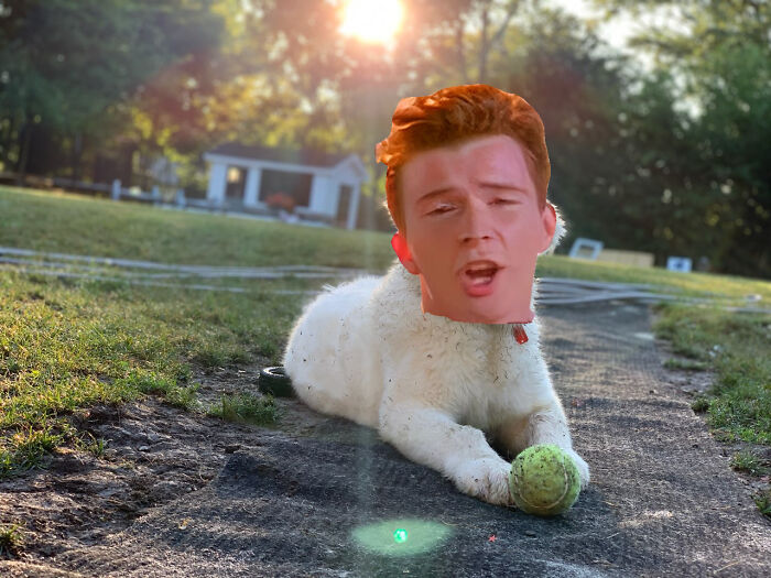 Never Gonna Give You A Ball