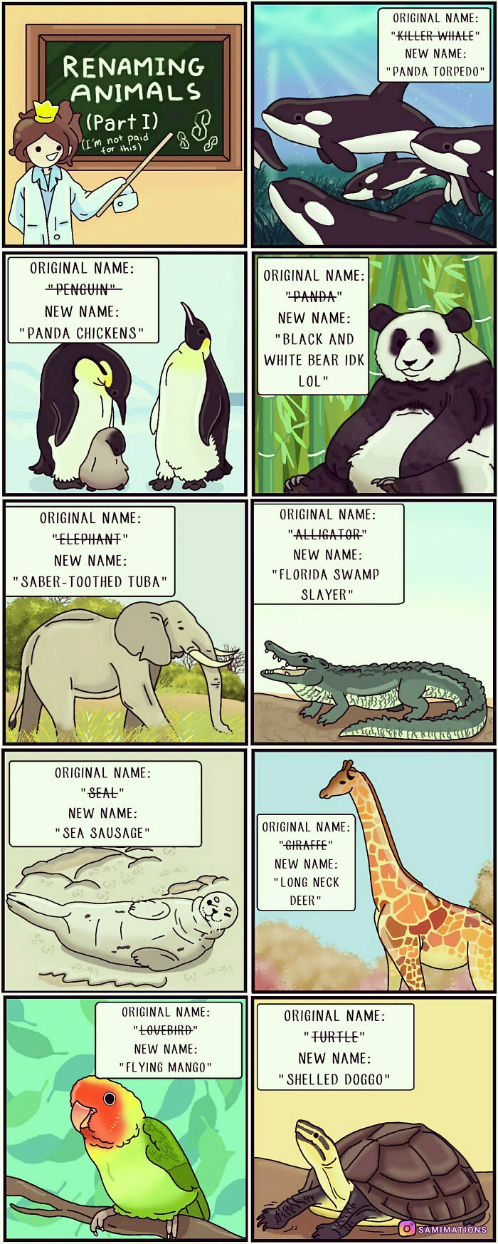 Re-Naming Animals