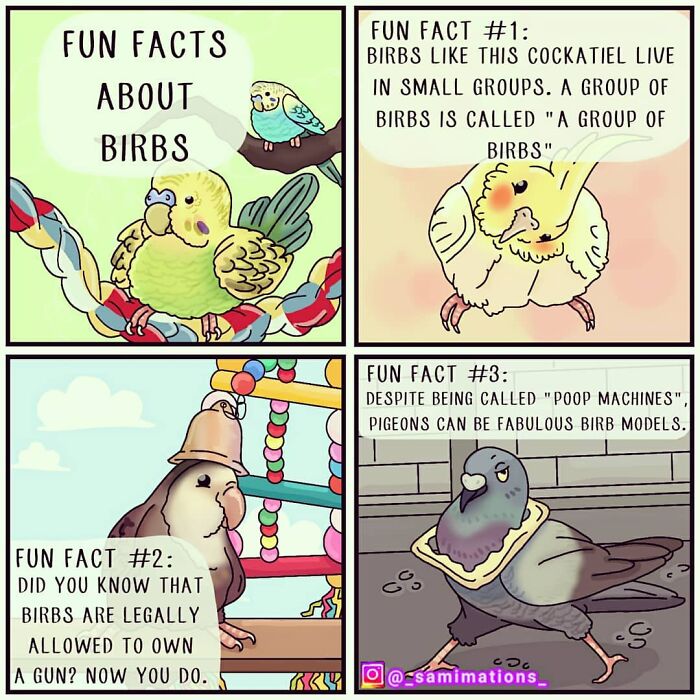 Fun Facts About Birbs