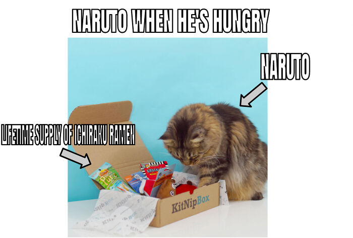 Cat Life + Naruto...