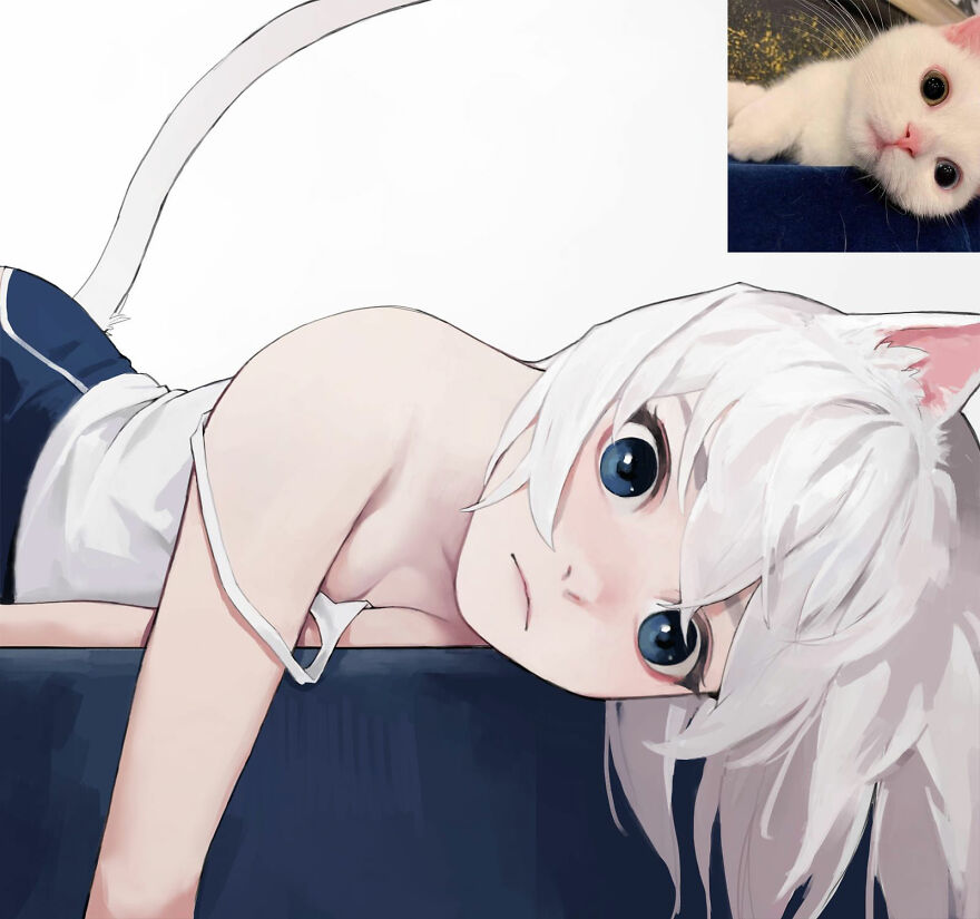 What Would Cats Look Like As Anime Girls? This Japanese Illustrator Has The  Answer | Bored Panda