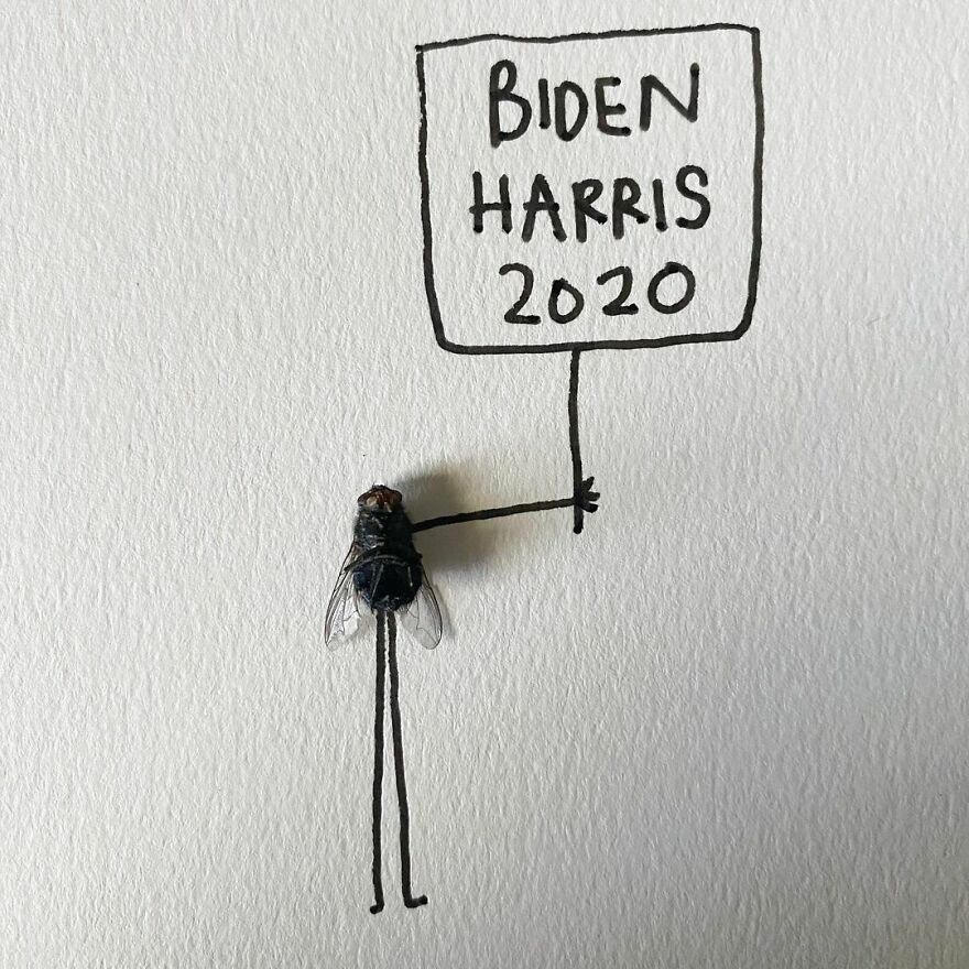 This Artist Makes Art With Dead Insects And 178,000 Instagram Followers Approve
