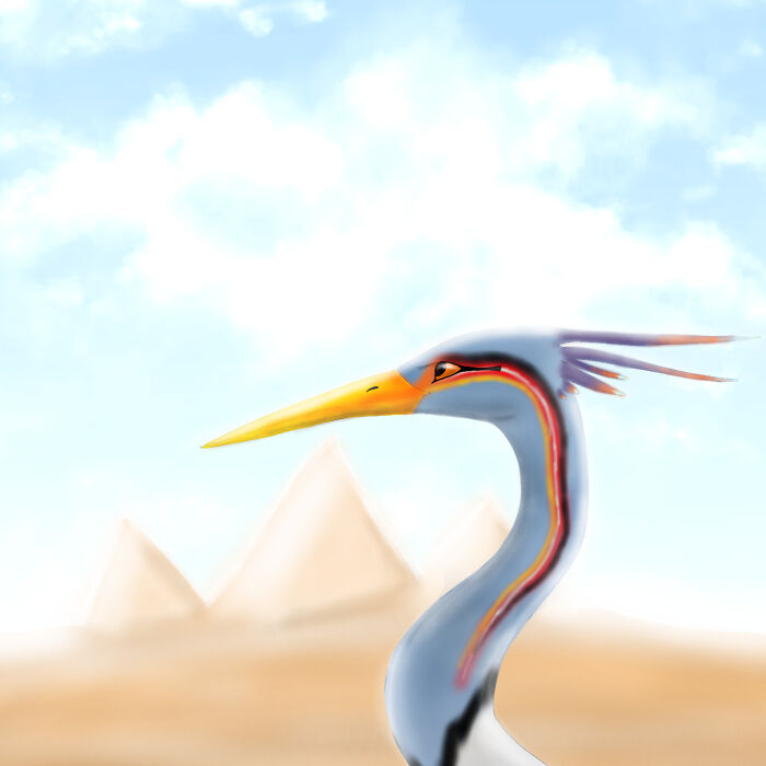 Bennu Bird, Drawen By Me Using Ibis Paint X