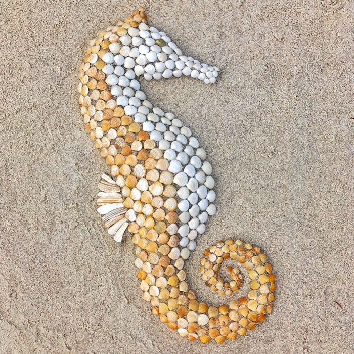 https://static.boredpanda.com/blog/wp-content/uploads/2021/06/animals-from-seashells-art-anna-chan-60d319365c6ae__700.jpg