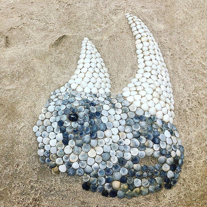 Use Seashells To Create Real Looking Animal Photos Amazing Thing