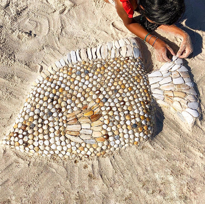 Use Seashells To Create Real Looking Animal Photos Amazing Thing