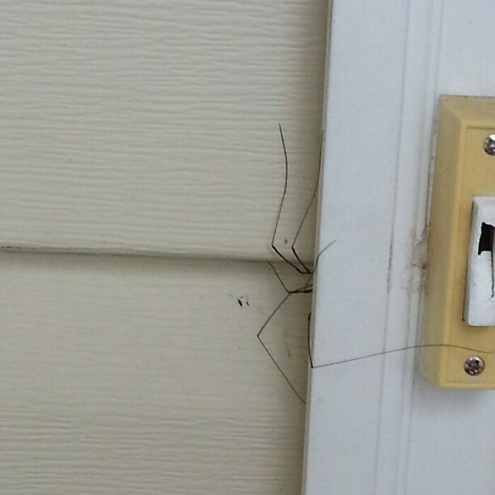 Not The Best Thing To See While Trying To Open My Front Door
