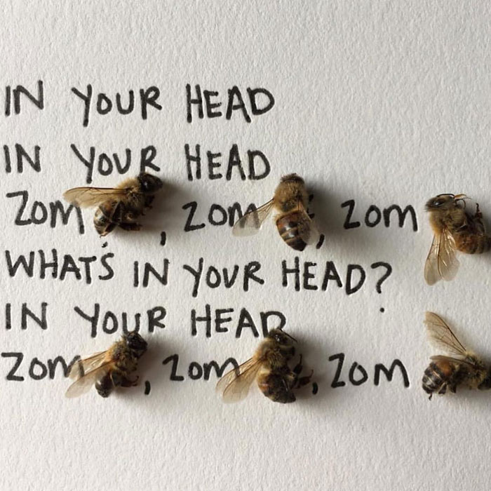 Artist Uses Insects To Make Fun And Quirky Cartoons, Here Are Her Best 70 Works