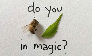 Artist Uses Insects To Make Fun And Quirky Cartoons, Here Are Her Best 70 Works