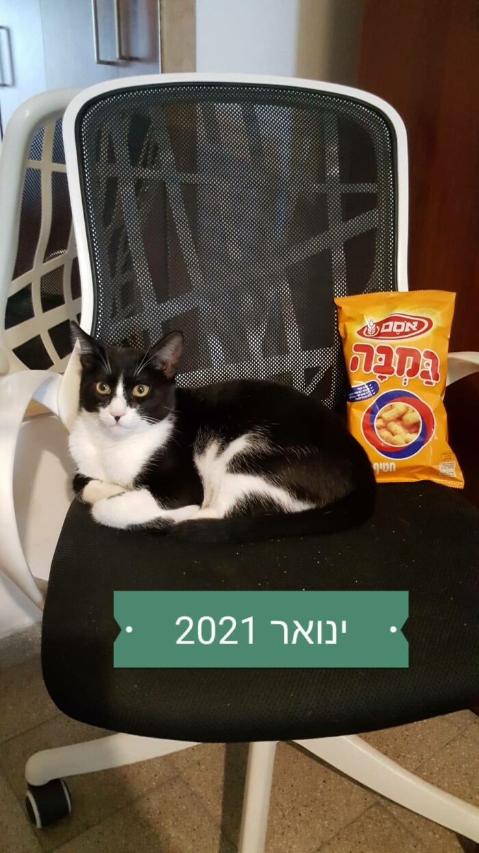 Bamba Is Named After The Most Popular Snack In Israel (Pictured) B/C When I Found Him At 6weeks I Put Him In A Cardboard Box Of The Snacks Until I Got Him Home