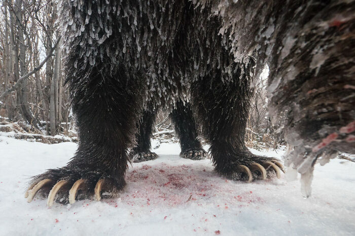Photo Story: Out Of The Ordinary: 'Klukshu Ice Bears 5/6' By ‍peter Mather, Yukon Territory, Canada
