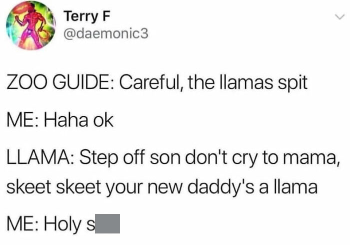 Skeet Skeet Your New Daddy’s A Llama