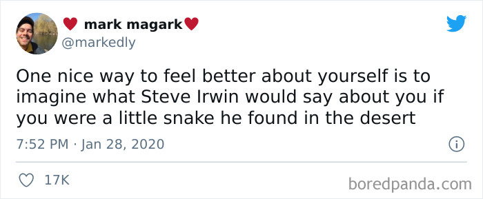 One Nice Way To Feel Better About Yourself Is To Imagine What Steve Irwin Would Say About You If You Were A Little Snake He Found In The Desert