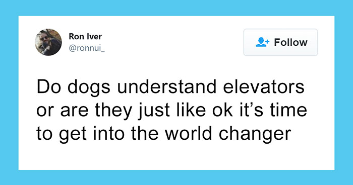 50 Times People Dropped A Sentence That Probably No One Has Ever Thought Of Before, As Shared In This Group