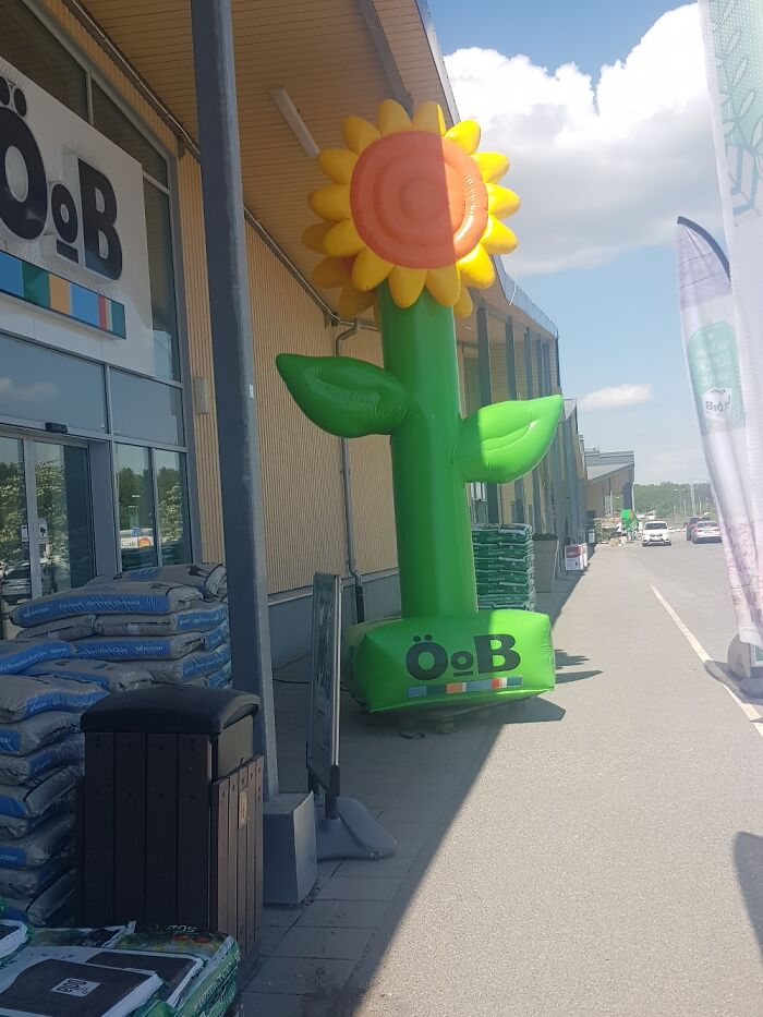 A Very Big Flower Outside A Shop