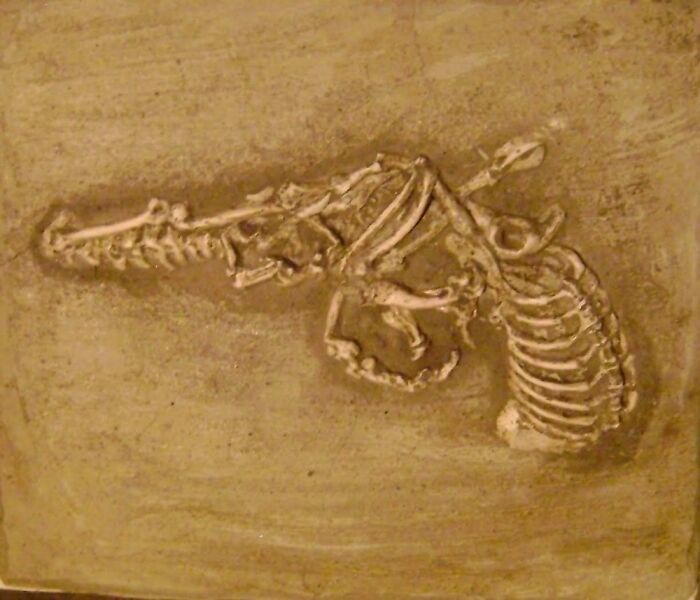 Fossilised 'Pistol' Rat (Archaeological Plastercast)
