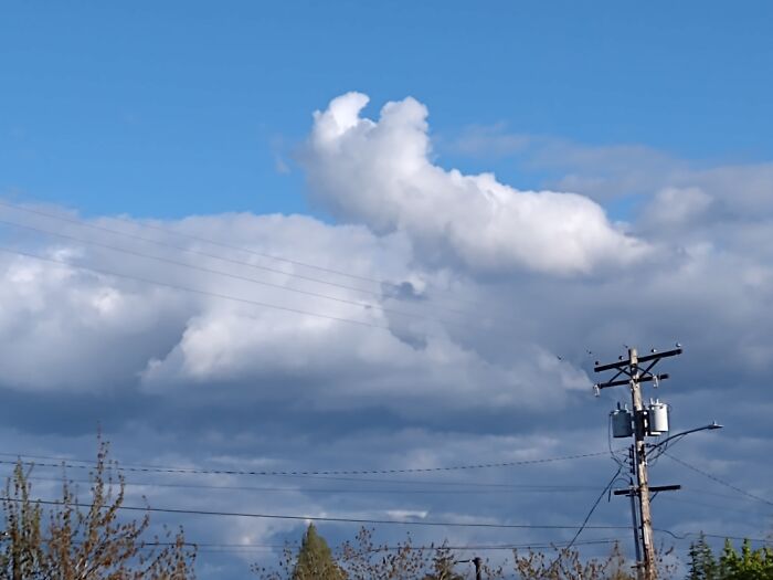 A Cloud I Thought Looked Like A Cat-Loaf