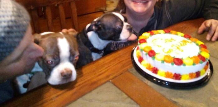 Dubbs Licking My Birthday Cake. Lol