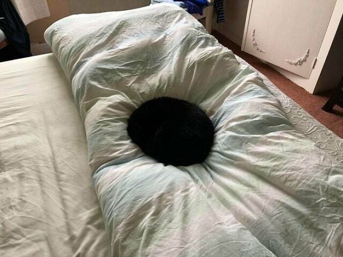 "A Black Hole Warping Space-Time Right On Top Of A Duvet"