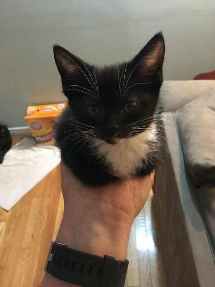 A Little Hand Loaf