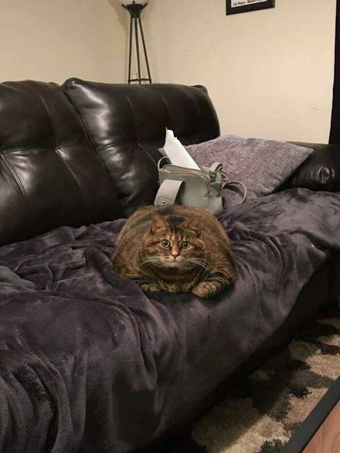 Absolute Unit