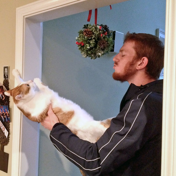 40 Hilarious Times Cats Said A Firm ‘No’ To Cuddles